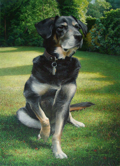 COMMISSIONED PET PORTRAIT - 50x35cm, acrylic on raw linen